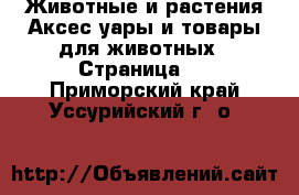 Животные и растения Аксесcуары и товары для животных - Страница 2 . Приморский край,Уссурийский г. о. 